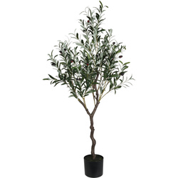 Műolajfa, 121 cm