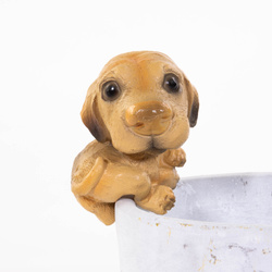 Cserép dísz, kutyás függő