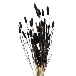 Díszes ágak vázába, szárított, 70 cm