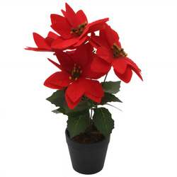 Betlehemi csillag, művirág, 29 cm