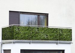 Erkélyvédő vadborostyán mintával - 500 x 85 cm, vadborostyán