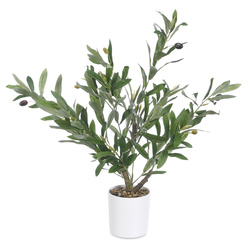 Dekoratív olajfa, 58 cm