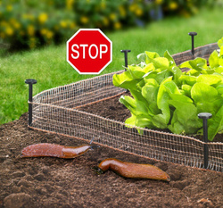 Csiga kerítés, réz csiga taszító, WENKO