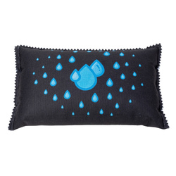 Autós nedvességelnyelő 1 kg, WENKO