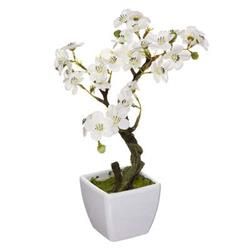 Művirág orchidea cserépben, 26 cm