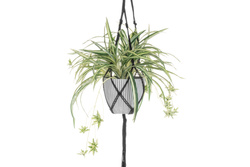 Mesterséges növény egy függő edényben Zielistka
