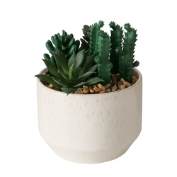 Műnövény SUCCULENT, 12 cm